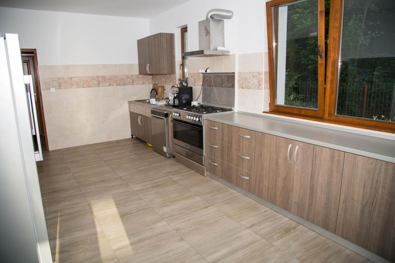 Pensiunea 2 A-Mici Runcu  Exteriör bild